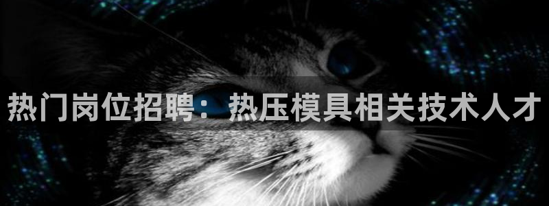 emc易倍官网登录入口:热门岗位招聘:热压模具相关技术人