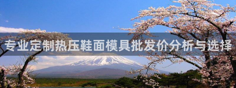 易倍申有用吗:专业定制热压鞋面模具批发价分析与选择