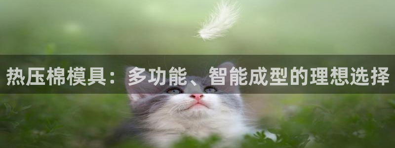 易倍申和易倍清的区别：热压棉模具：多功能、智能成型的理想