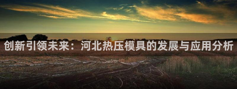 emc倍频只能是奇数倍吗：创新引领未来：河北热压模具的发