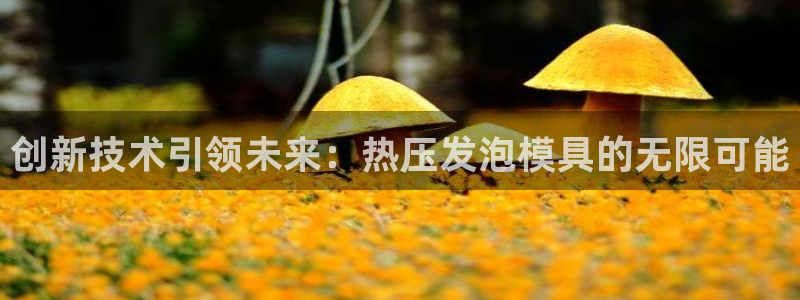 emc32软件安装：创新技术引领未来：热压发泡模具的无限