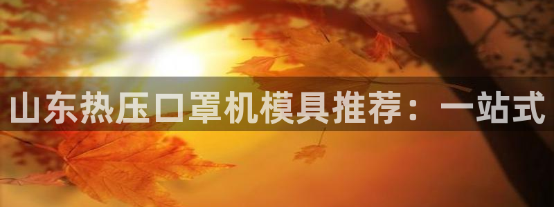 易倍单词平台：山东热压口罩机模具推荐：一站式