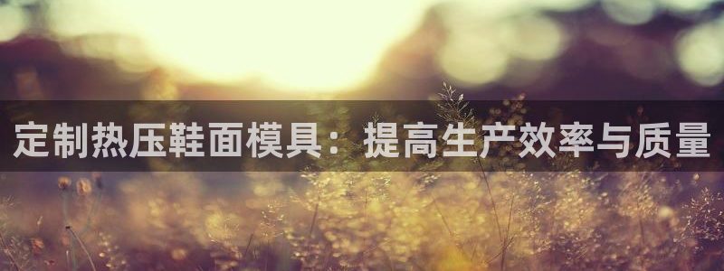 易倍下载:定制热压鞋面模具:提高生产效率与质量