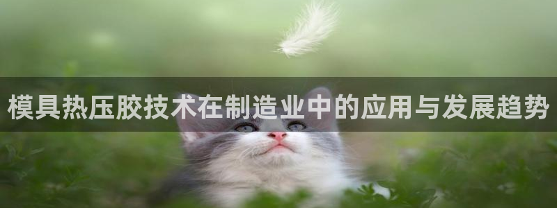 易倍申怎么样:模具热压胶技术在制造业中的应用与发展趋势