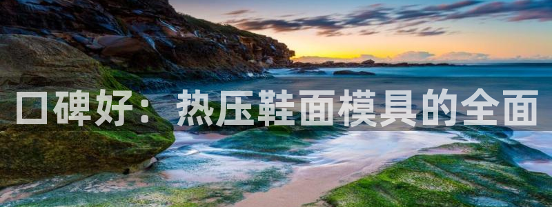 杭州易倍达科技有限公司怎么样:口碑好:热压鞋面模具的全面