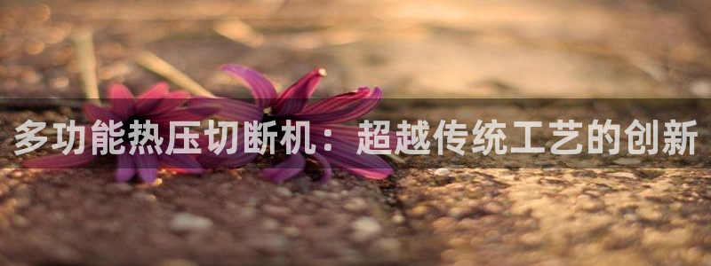 易倍申医保报销:多功能热压切断机:超越传统工艺的创新
