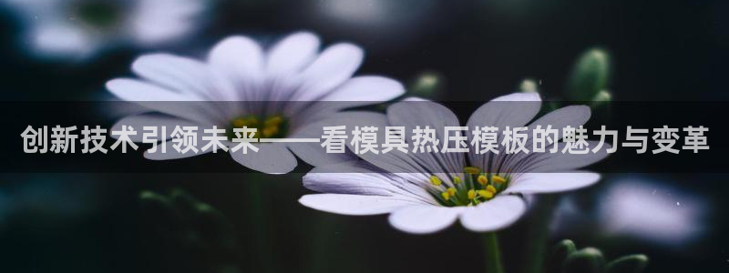 易倍纤多少钱:创新技术引领未来——看模具热压模板的魅力与