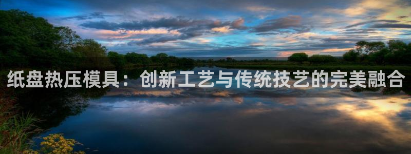 南京易倍易电子科技有限公司:纸盘热压模具:创新工艺与传统