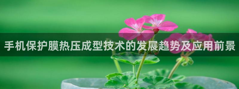 emc易倍官方下载:手机保护膜热压成型技术的发展趋势及应