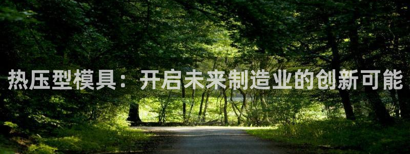 易倍纤能减肥吗:热压型模具:开启未来制造业的创新可能