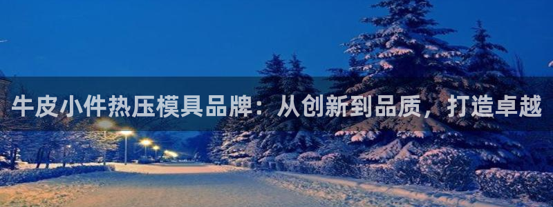 易倍全站下载:牛皮小件热压模具品牌:从创新到品质,打造卓