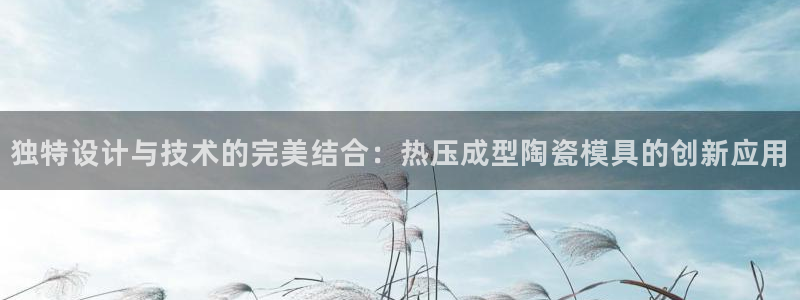 易倍下载手机版:独特设计与技术的完美结合:热压成型陶瓷模