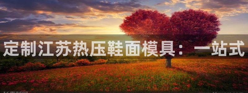 emc易倍官方平:定制江苏热压鞋面模具:一站式