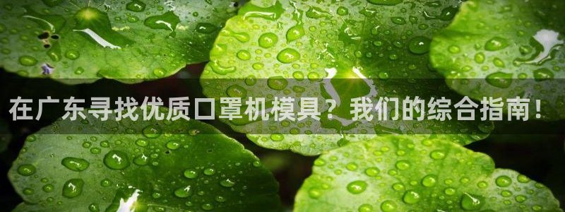emc易倍平台:在广东寻找优质口罩机模具?我们的综合指南
