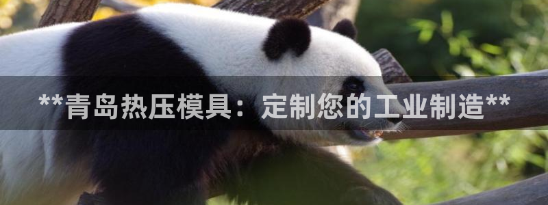 emc易倍黑吗：**青岛热压模具：定制您的工业制造**