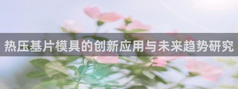 emc易倍官网app：热压基片模具的创新应用与未来趋势研