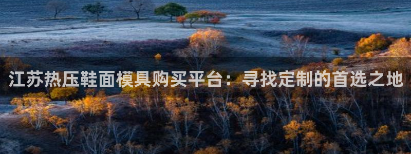 易倍申在中国成功上市：江苏热压鞋面模具购买平台：寻找定制