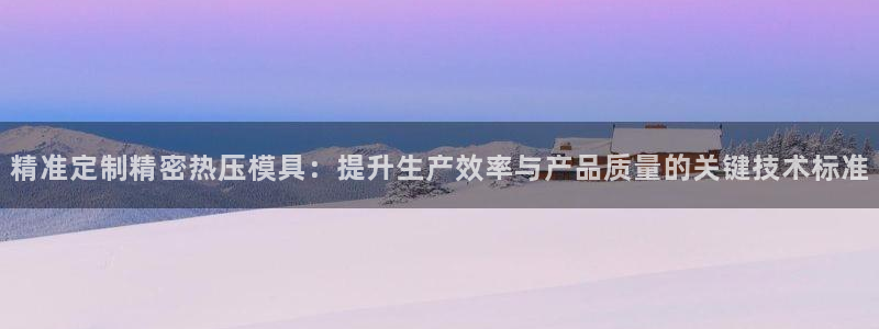 易倍单词软件:精准定制精密热压模具:提升生产效率与产品质