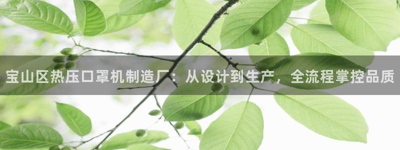 易倍单词官方网站：宝山区热压口罩机制造厂：从设计到生产，