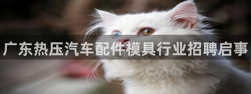 emc易倍下载：广东热压汽车配件模具行业招聘启事