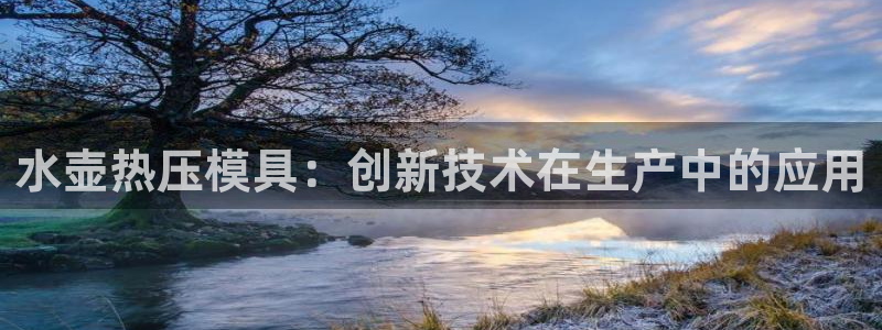 易倍纤减肥反弹不:水壶热压模具:创新技术在生产中的应用