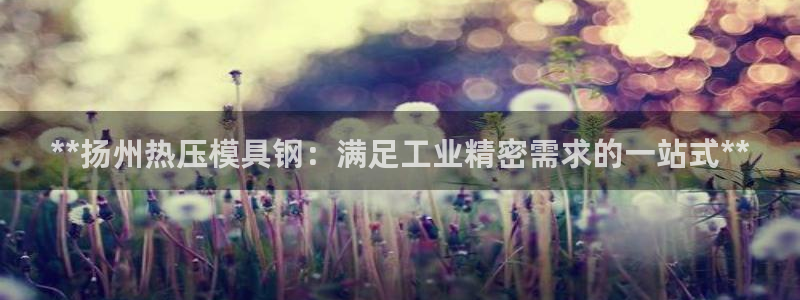 易倍app网站：**扬州热压模具钢：满足工业精密需求的一