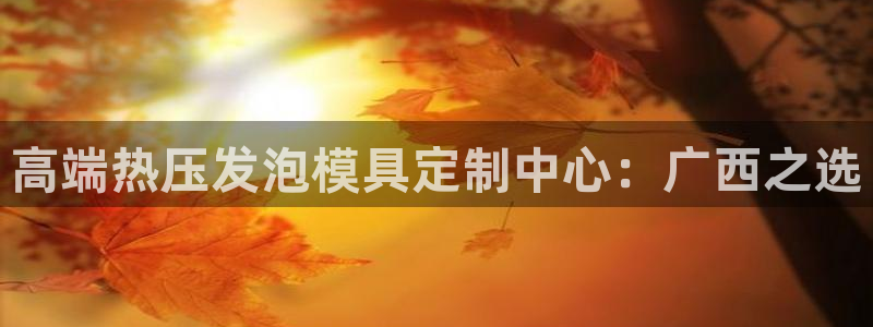 易倍申厂家:高端热压发泡模具定制中心:广西之选