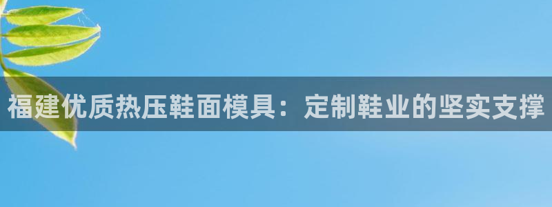 EMC易倍官方网址:福建优质热压鞋面模具:定制鞋业的坚实