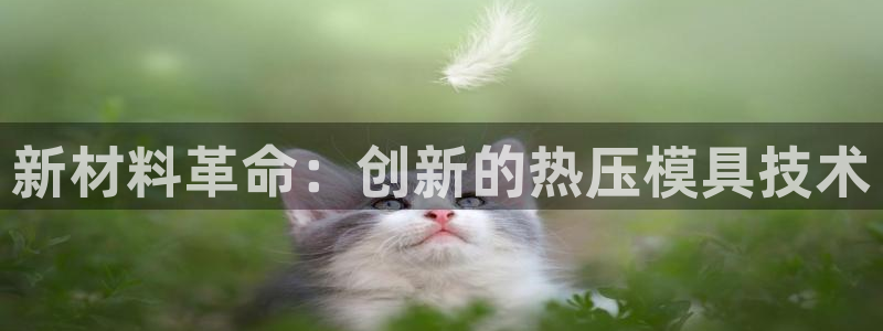 易倍纤瘦身三部曲的价格：新材料革命：创新的热压模具技术