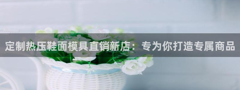 emc测试频率范围：定制热压鞋面模具直销新店：专为你打造