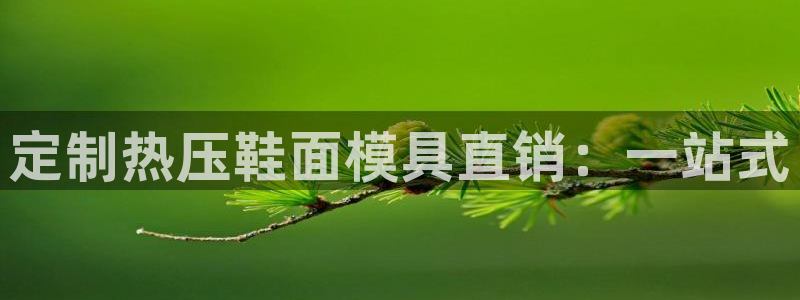 易倍网络技术有限公司招聘:定制热压鞋面模具直销:一站式