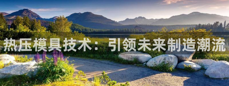 易倍单词如何下载：热压模具技术：引领未来制造潮流