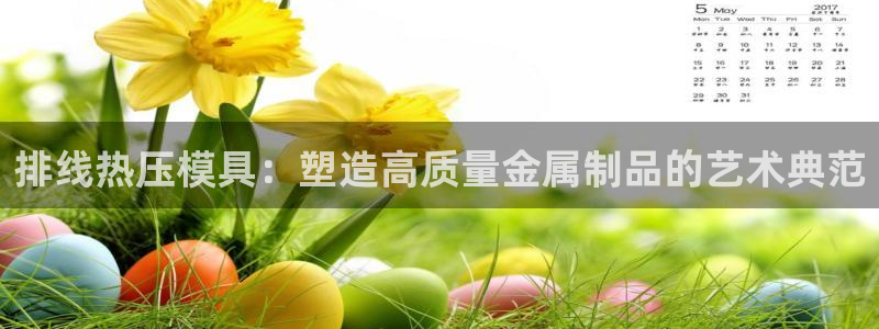 易倍科华生物科技有限公司：排线热压模具：塑造高质量金属制