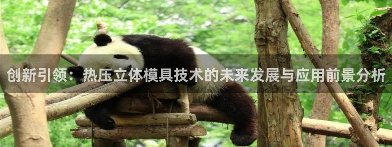 易倍申不良反应：创新引领：热压立体模具技术的未来发展与应