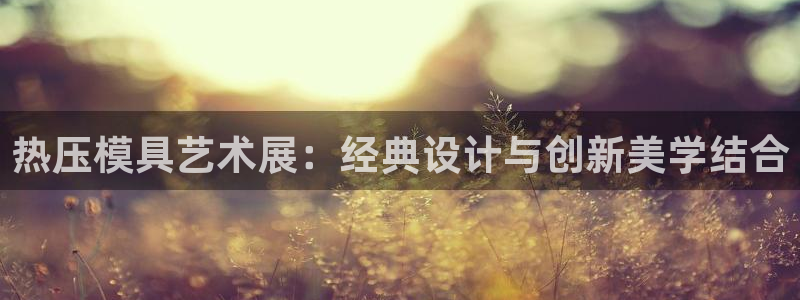 emc全站ag：热压模具艺术展：经典设计与创新美学结合