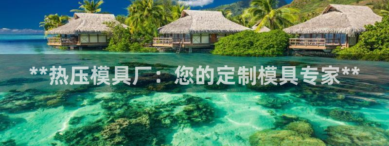 易倍纤官网：**热压模具厂：您的定制模具专家**