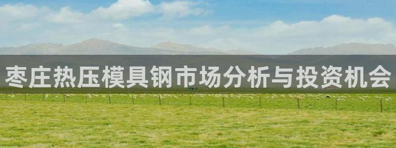 易倍纤使用方法：枣庄热压模具钢市场分析与投资机会
