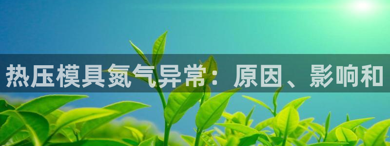 易倍单词平台：热压模具氮气异常：原因、影响和