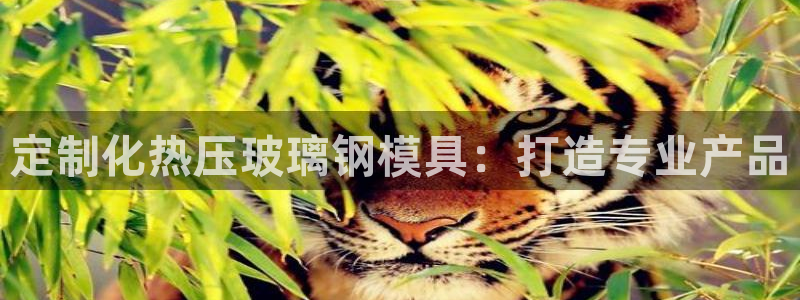 emc倍频超了：定制化热压玻璃钢模具：打造专业产品