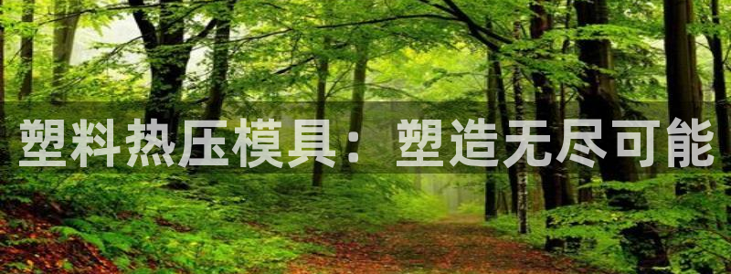 emc易倍全站官网：塑料热压模具：塑造无尽可能