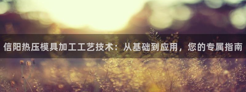 emc低频：信阳热压模具加工工艺技术：从基础到应用，您的