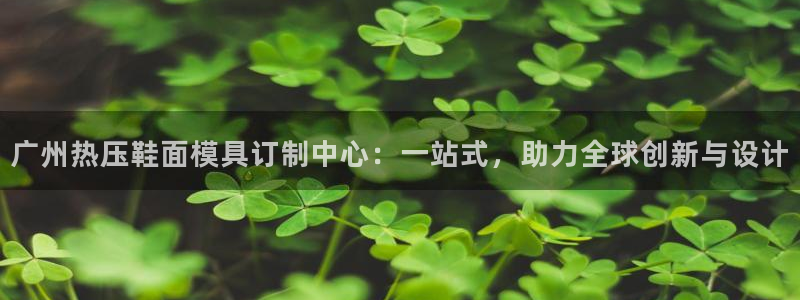 易倍康简历：广州热压鞋面模具订制中心：一站式，助力全球创