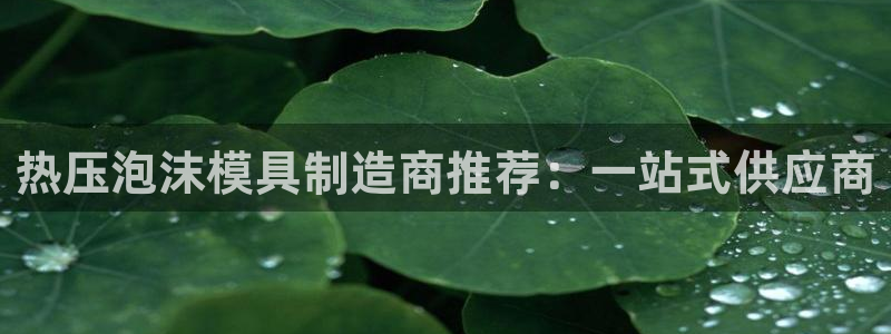 北京易倍思教育科技有限公司：热压泡沫模具制造商推荐：一站