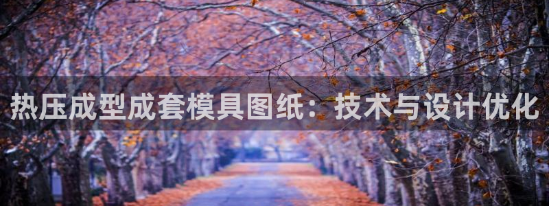 emc易倍：热压成型成套模具图纸：技术与设计优化