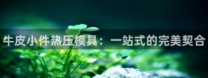 易倍电竞：牛皮小件热压模具：一站式的完美契合