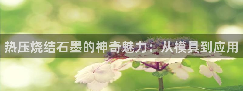 emc易倍官网登录首页：热压烧结石墨的神奇魅力：从模具到