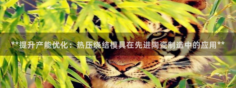 emc平台：**提升产能优化：热压烧结模具在先进陶瓷制造