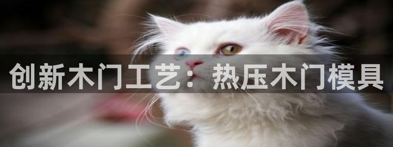 emc频率范围：创新木门工艺：热压木门模具