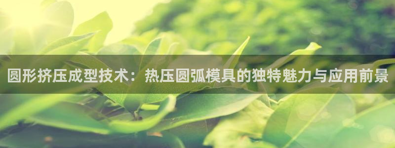 emc易倍怎么样：圆形挤压成型技术：热压圆弧模具的独特魅