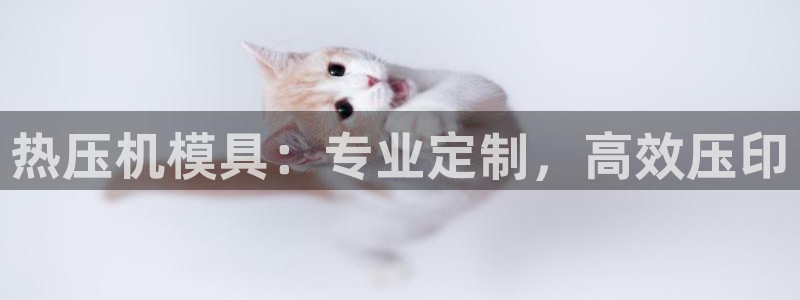 emc全站易倍：热压机模具：专业定制，高效压印